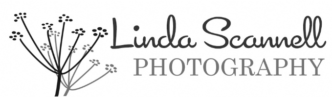 Linda Scannell Photography Photo