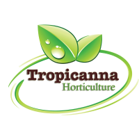 Tropicanna Horticulture.com Photo