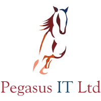 Pegasus IT Ltd Photo