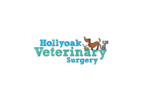 Hollyoak Veterinary Surgery Photo