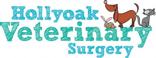 Hollyoak Veterinary Surgery Photo