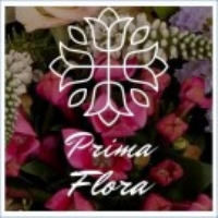 Prima Flora Photo