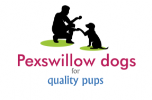 Pexswillow Dogs Photo