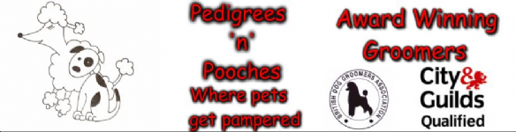 Pedigrees ''n'' Pooches Photo