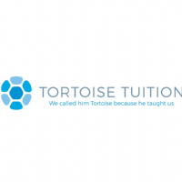 Tortoise Tuition Photo