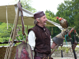 Raptorcare Falconry  Photo