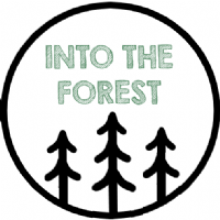 Into The Forest Events Photo