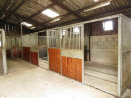 Whittonstall Hall Livery Yard Photo