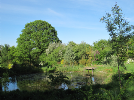 Moors Meadow Gardens Photo