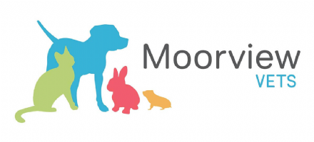 Moorview Vets Photo