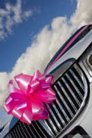 SLS Limousines & Wedding Cars Photo