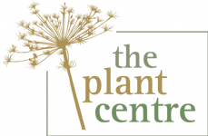 The Plant Centre Photo