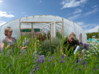 Sussex Cutting Garden Photo