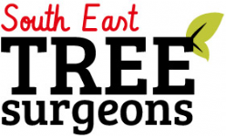 South East Tree Surgeons Ltd Photo
