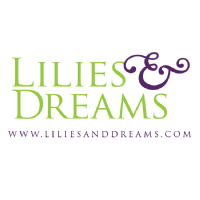 Lilies & Dreams Boutique Photo