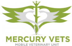 Mercury Vets Photo