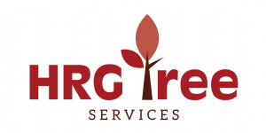 HRG Tree Services Photo