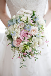 green room flowers Photo