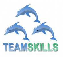 Teamskills International Ltd Photo