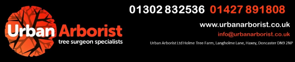 Urban Arborist Ltd Photo