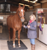 Equestrian Products  Photo