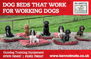 kennelmate.co.uk Dog Beds & Equipment Photo