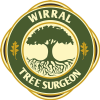 Wirral Tree Surgeon Photo