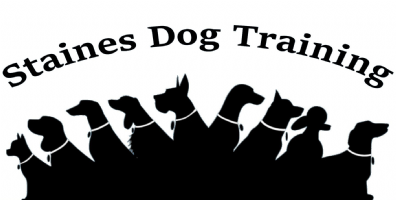 Staines Dog Training Photo