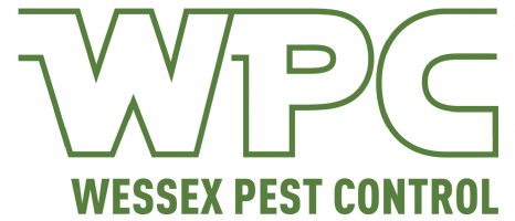 Wessex Pest Control Photo