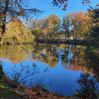 Woodhall Country Park Photo