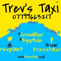 Trev's Taxi Photo
