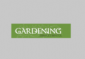 Gutter cleaning Bristol Photo