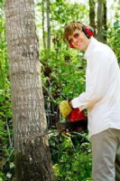 Tree Surgeon Stroud Photo