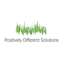 Positively Different Solutions Photo