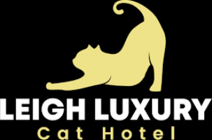 Leigh Cat Hotel Photo