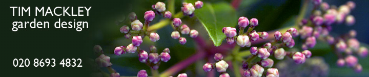Tim Mackley Garden Design Photo
