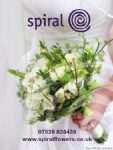 Spiral Flowers Photo