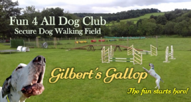 Gilberts Gallop Secure Dog Walking Field Photo