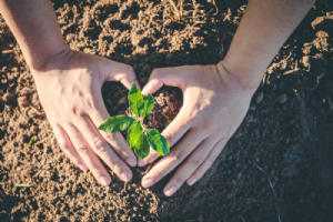 GrowMate Organic Gardening Photo