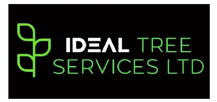 Ideal Tree Services Photo