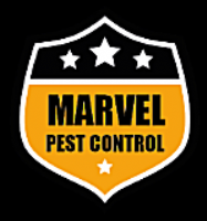 Marvel Pest Control Photo