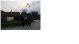 Trewince Farm Holiday Park Photo