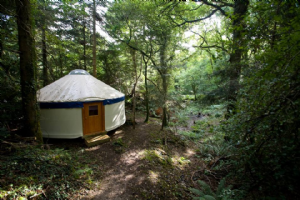 Yurtcamp Photo