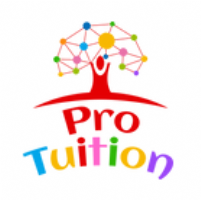 Pro-Tuition Essex Ltd Photo