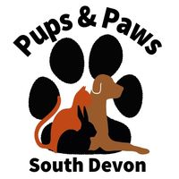 Pups And Paws South Devon Photo