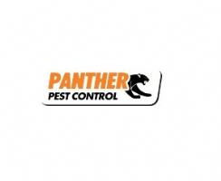 Pest Control Hendon Photo