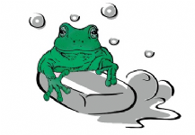 Toadally Limited Photo
