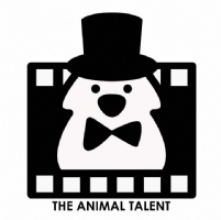 The Animal Talent Ltd Photo