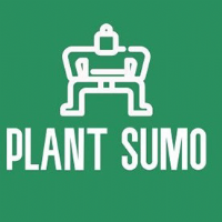 Plant Sumo Photo