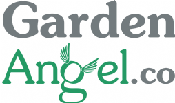 Garden Angel Photo